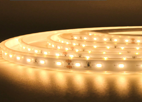 IP68 Waterproof SMD LED Flexible Strips 2835 High Voltage 220V 110 Leds